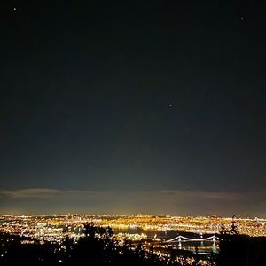 Meet your Posher, Rose